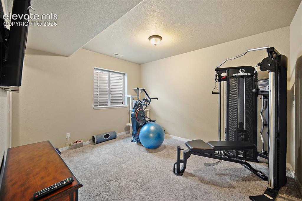 13296 Cedarville Way Colorado Springs CO 80921
