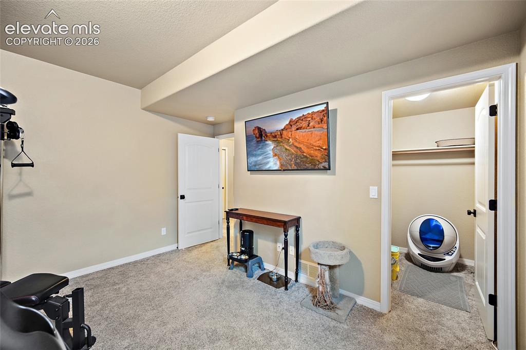 13296 Cedarville Way Colorado Springs CO 80921
