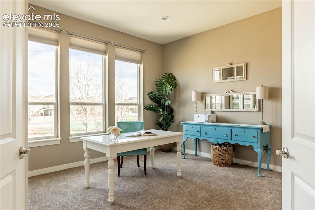 4378 Fell Mist Way Castle Rock CO 80109