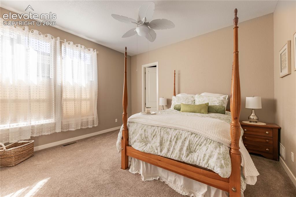 4378 Fell Mist Way Castle Rock CO 80109