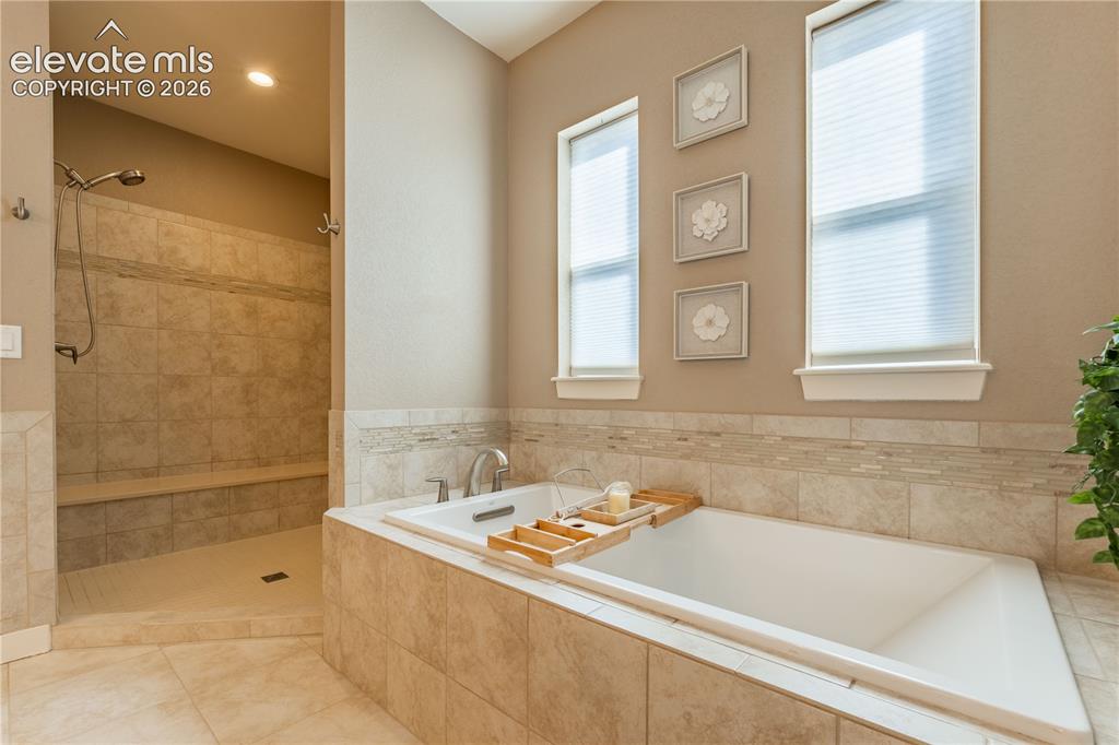 4378 Fell Mist Way Castle Rock CO 80109