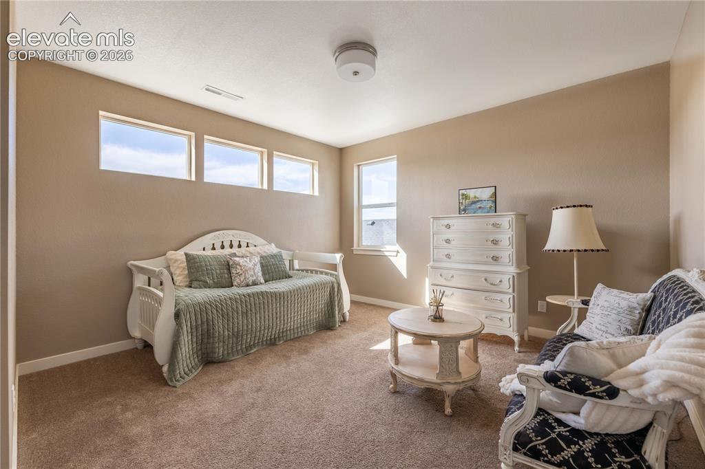 4378 Fell Mist Way Castle Rock CO 80109