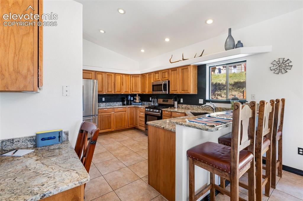 243 Lakewood Drive Woodland Park CO 80863