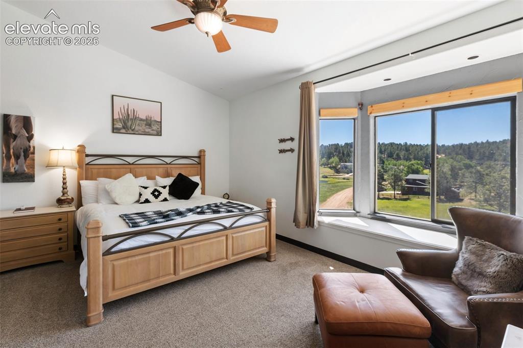 243 Lakewood Drive Woodland Park CO 80863