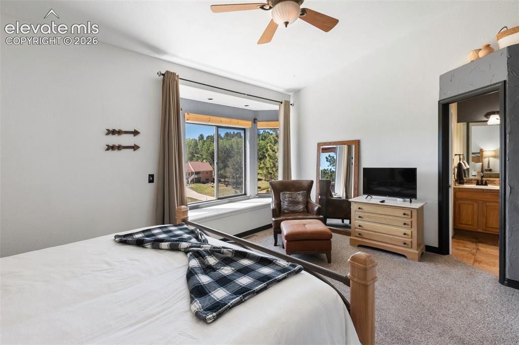 243 Lakewood Drive Woodland Park CO 80863