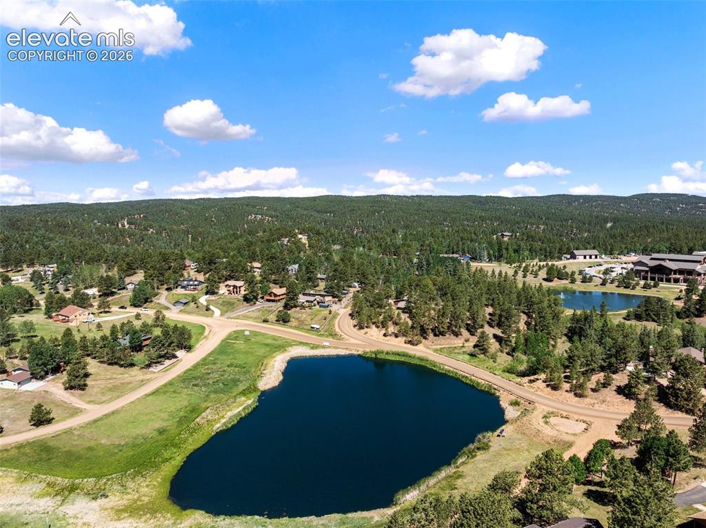 243 Lakewood Drive Woodland Park CO 80863