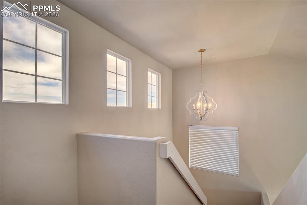 3909 Springs Ranch Drive Colorado Springs CO 80922