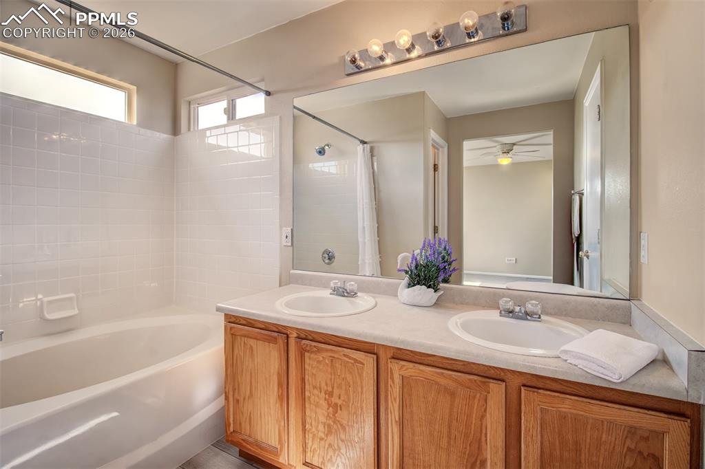 3909 Springs Ranch Drive Colorado Springs CO 80922