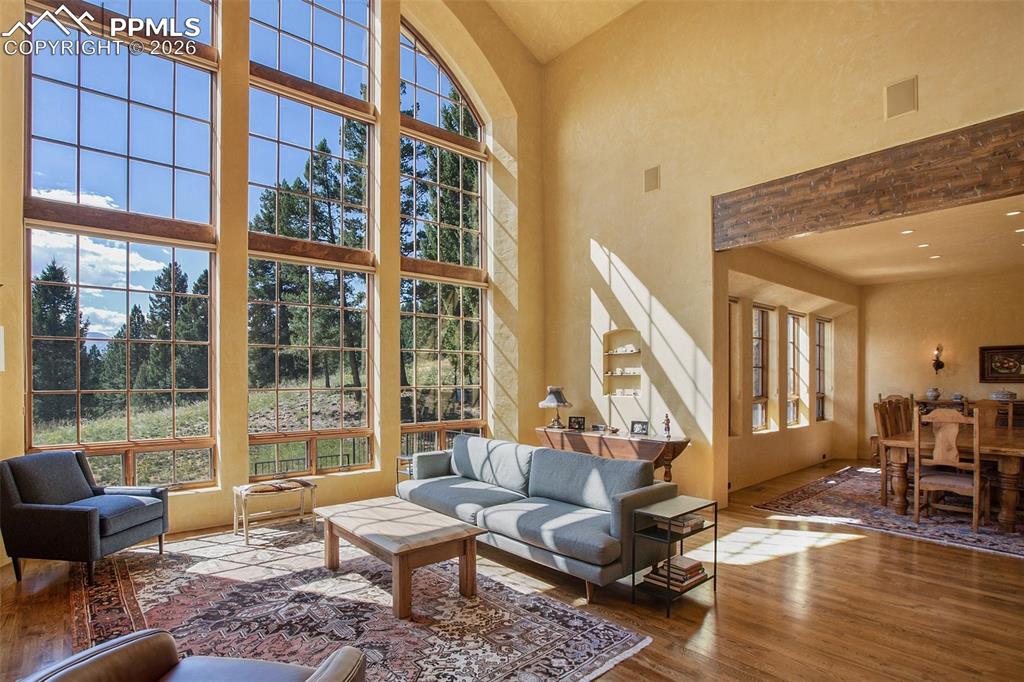 419 Lucky Lady Drive Woodland Park CO 80863