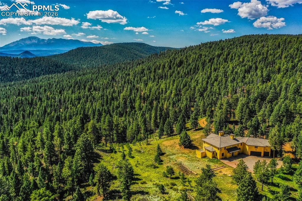 419 Lucky Lady Drive Woodland Park CO 80863