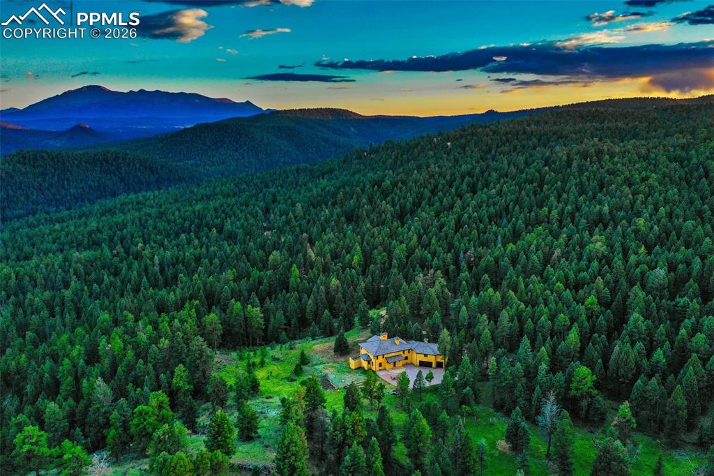 419 Lucky Lady Drive Woodland Park CO 80863