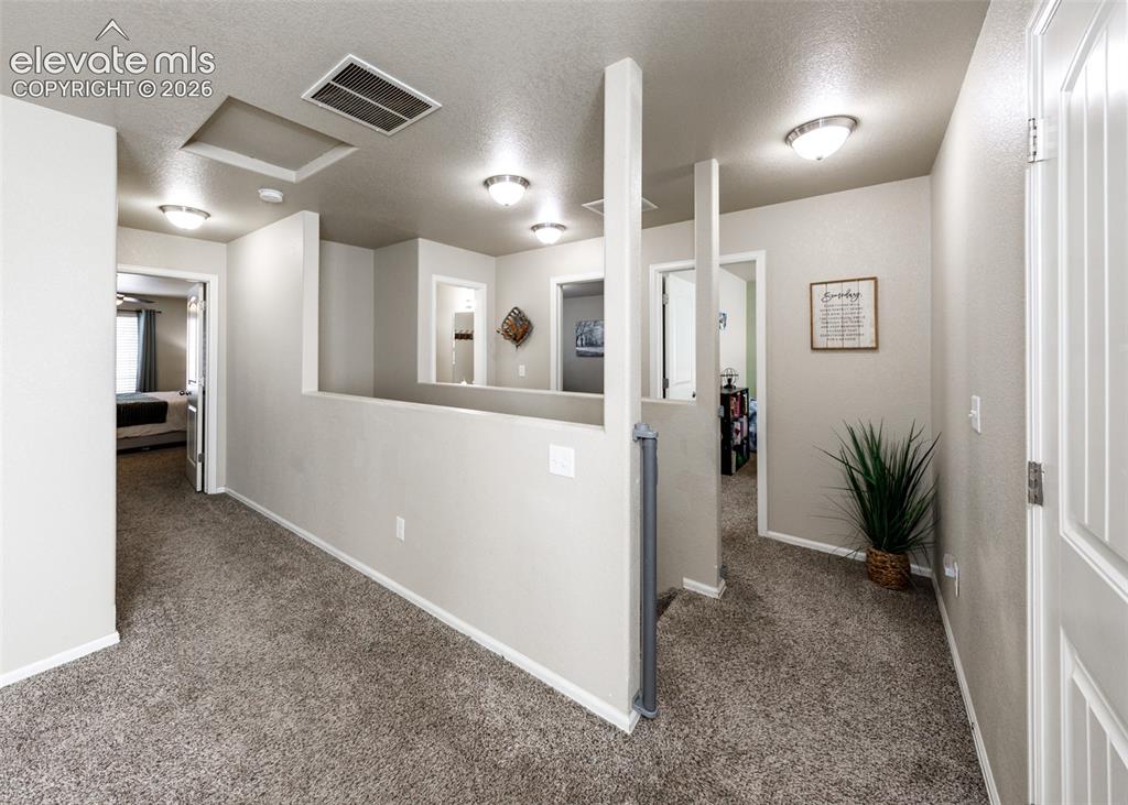 9766 Desert Lily Circle Colorado Springs CO 80925