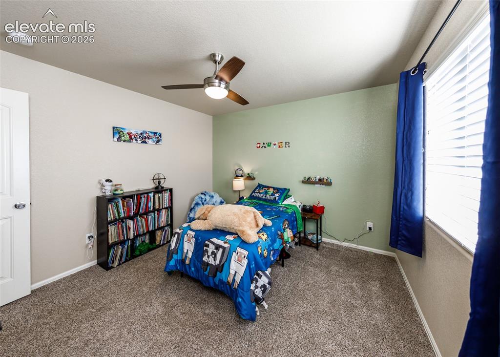9766 Desert Lily Circle Colorado Springs CO 80925