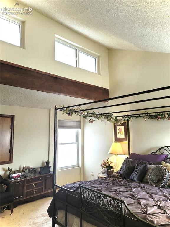 4191 Hampshire Place Colorado Springs CO 80906