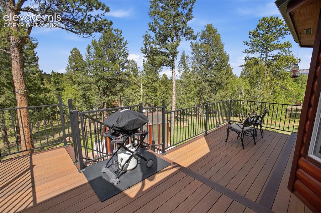 494 Lost Lake Drive Divide CO 80814