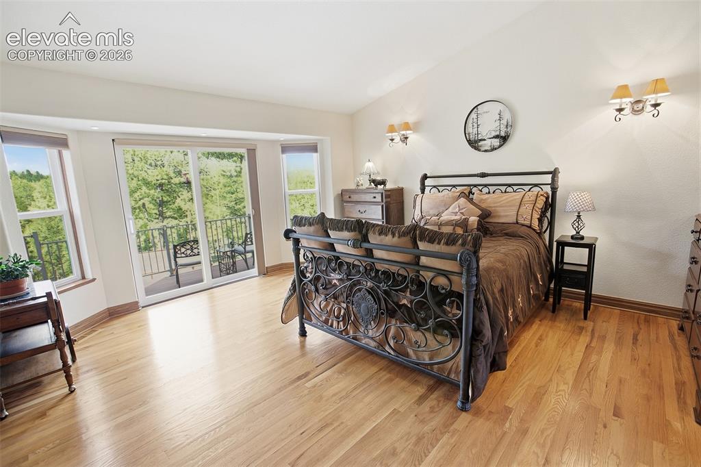 494 Lost Lake Drive Divide CO 80814