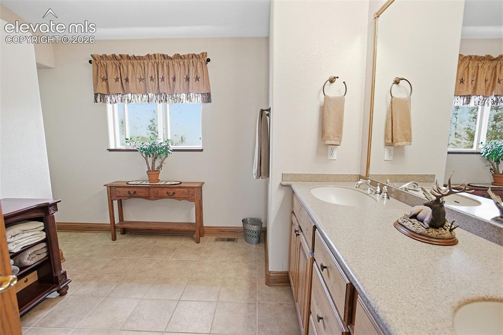 494 Lost Lake Drive Divide CO 80814
