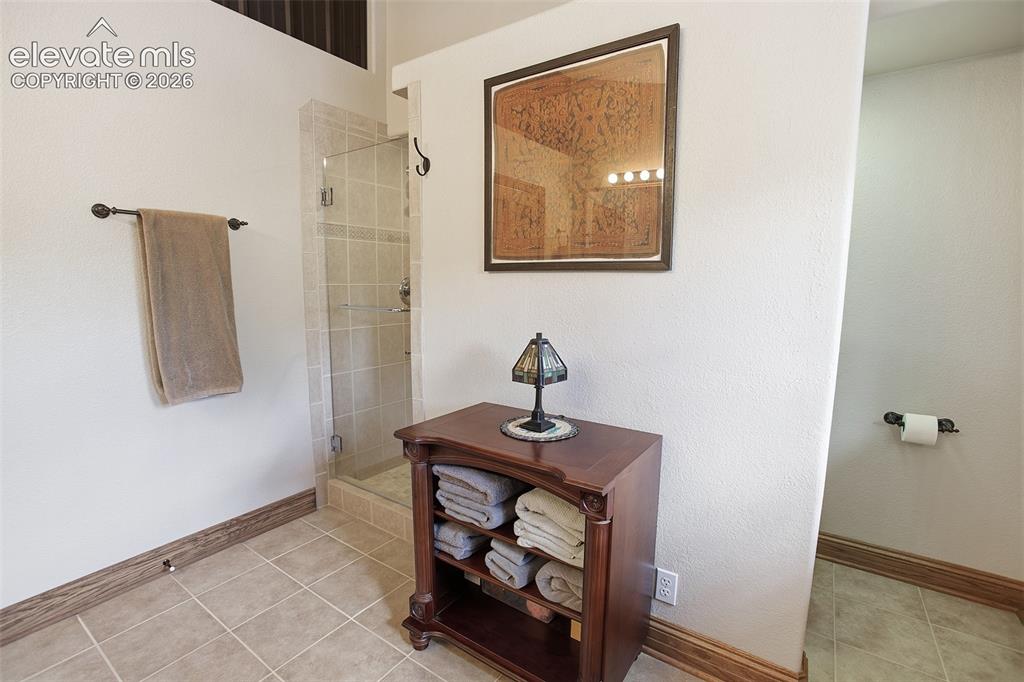494 Lost Lake Drive Divide CO 80814
