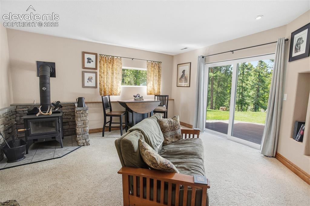 494 Lost Lake Drive Divide CO 80814