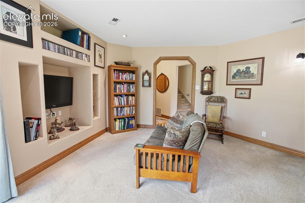 494 Lost Lake Drive Divide CO 80814
