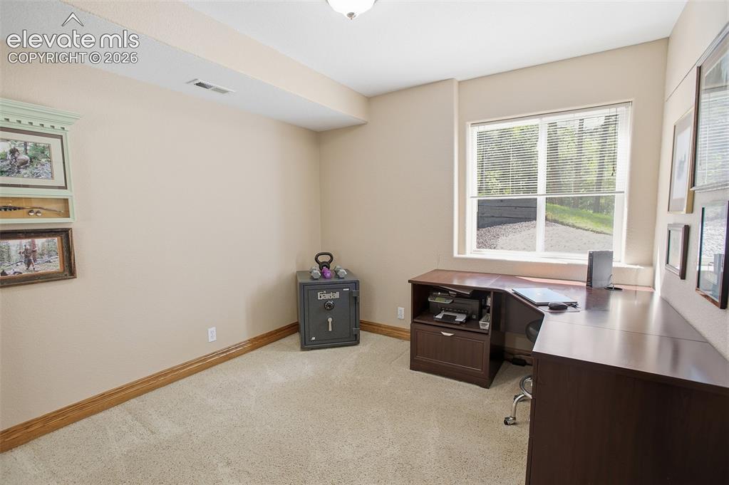 494 Lost Lake Drive Divide CO 80814