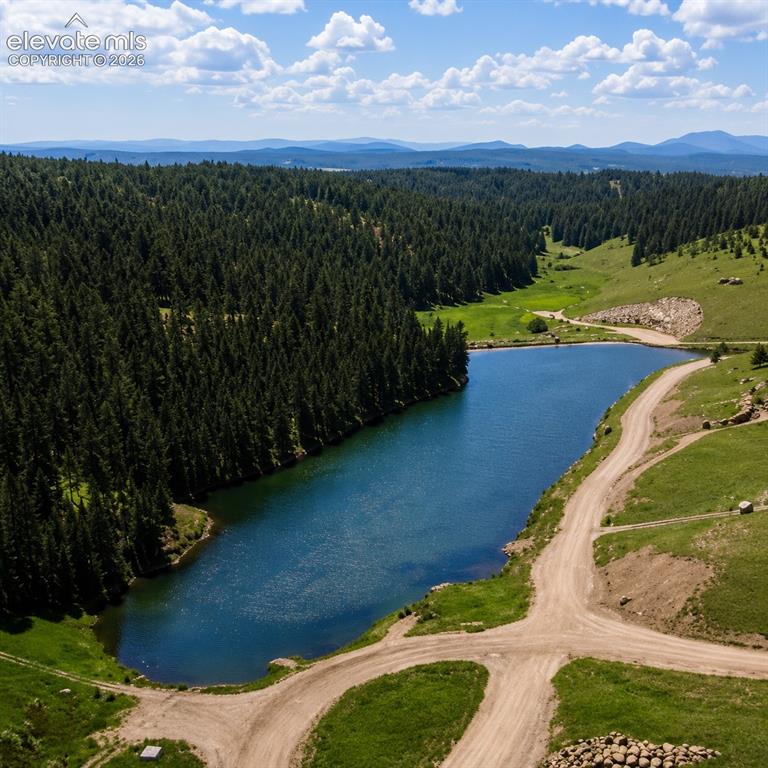 494 Lost Lake Drive Divide CO 80814