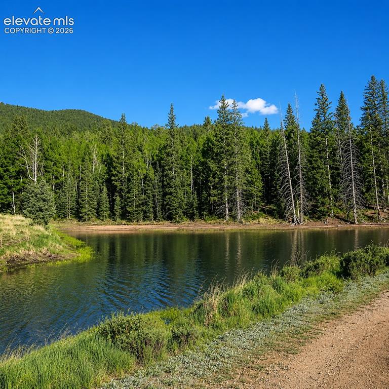 494 Lost Lake Drive Divide CO 80814