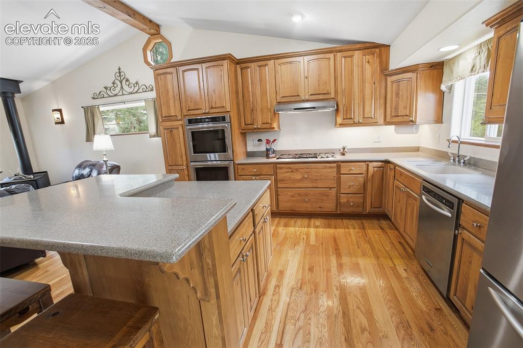 494 Lost Lake Drive Divide CO 80814