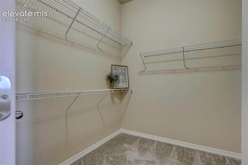 8259 Mosby Way Colorado Springs CO 80908