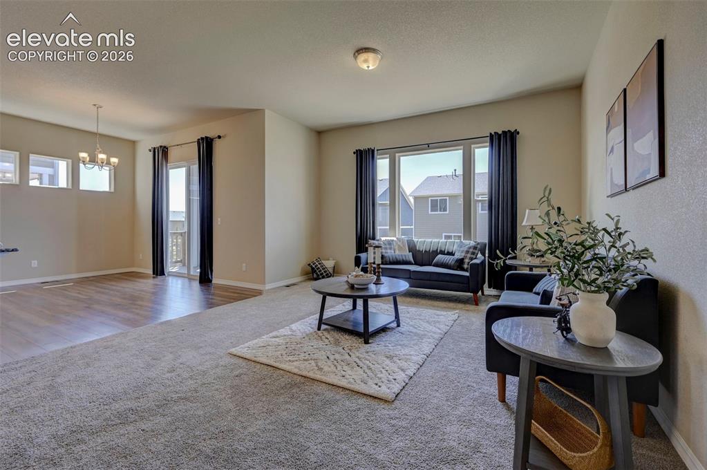 8259 Mosby Way Colorado Springs CO 80908