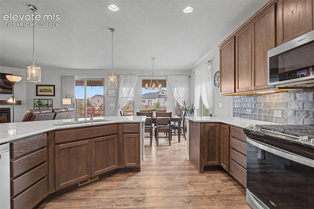 1067 Parkline Lane Monument CO 80132