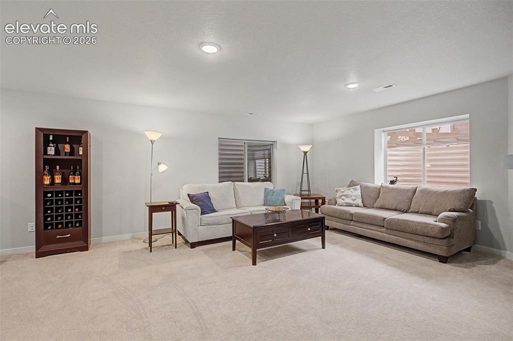 1067 Parkline Lane Monument CO 80132