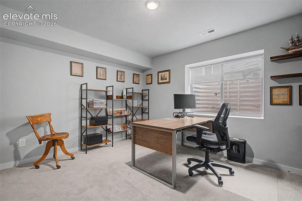 1067 Parkline Lane Monument CO 80132