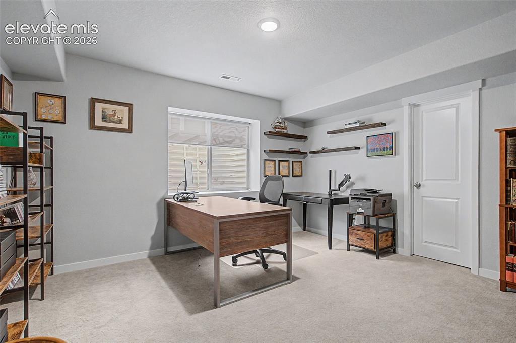1067 Parkline Lane Monument CO 80132