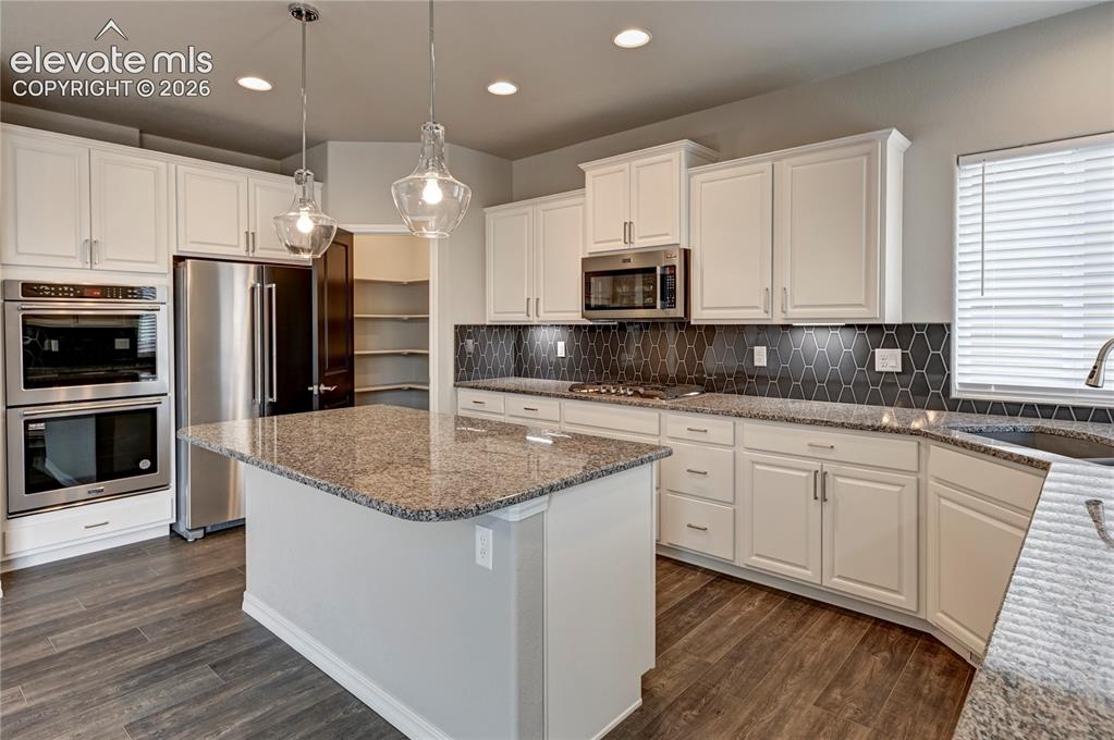 9793 Emerald Vista Drive Peyton CO 80831