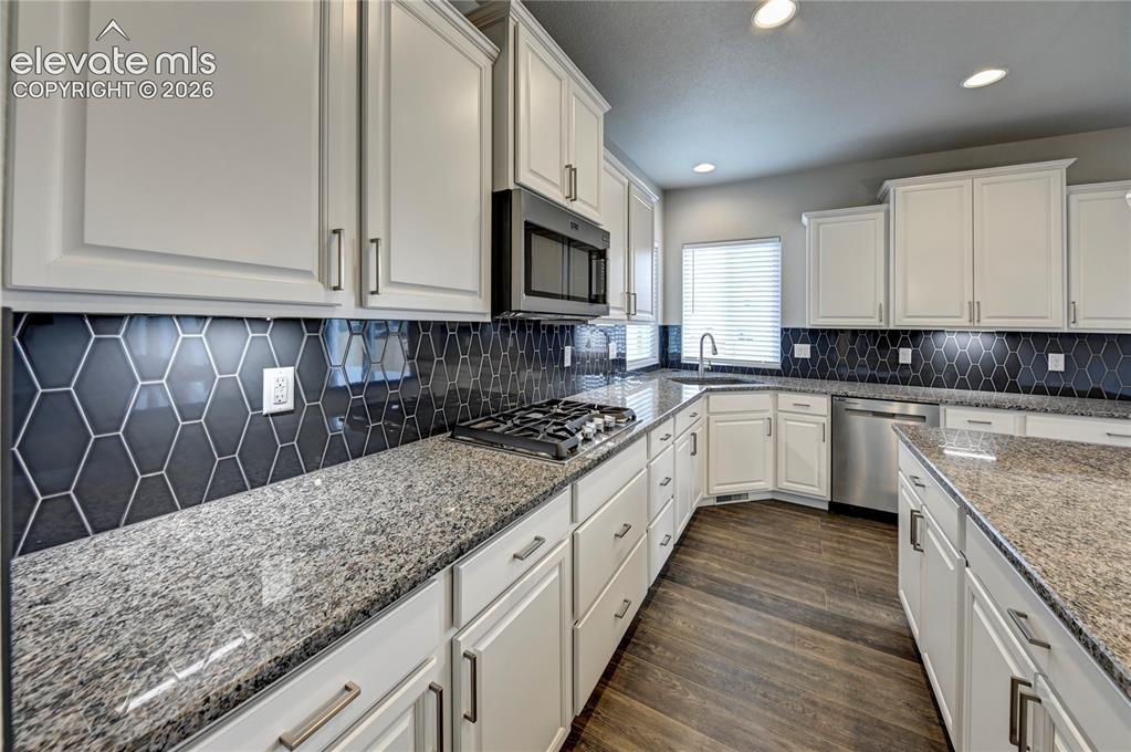9793 Emerald Vista Drive Peyton CO 80831
