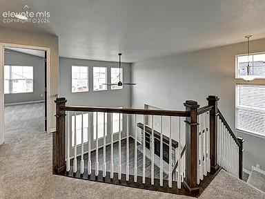 9793 Emerald Vista Drive Peyton CO 80831