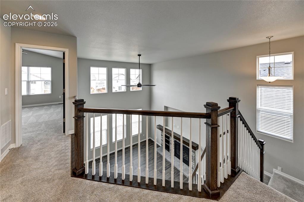 9793 Emerald Vista Drive Peyton CO 80831