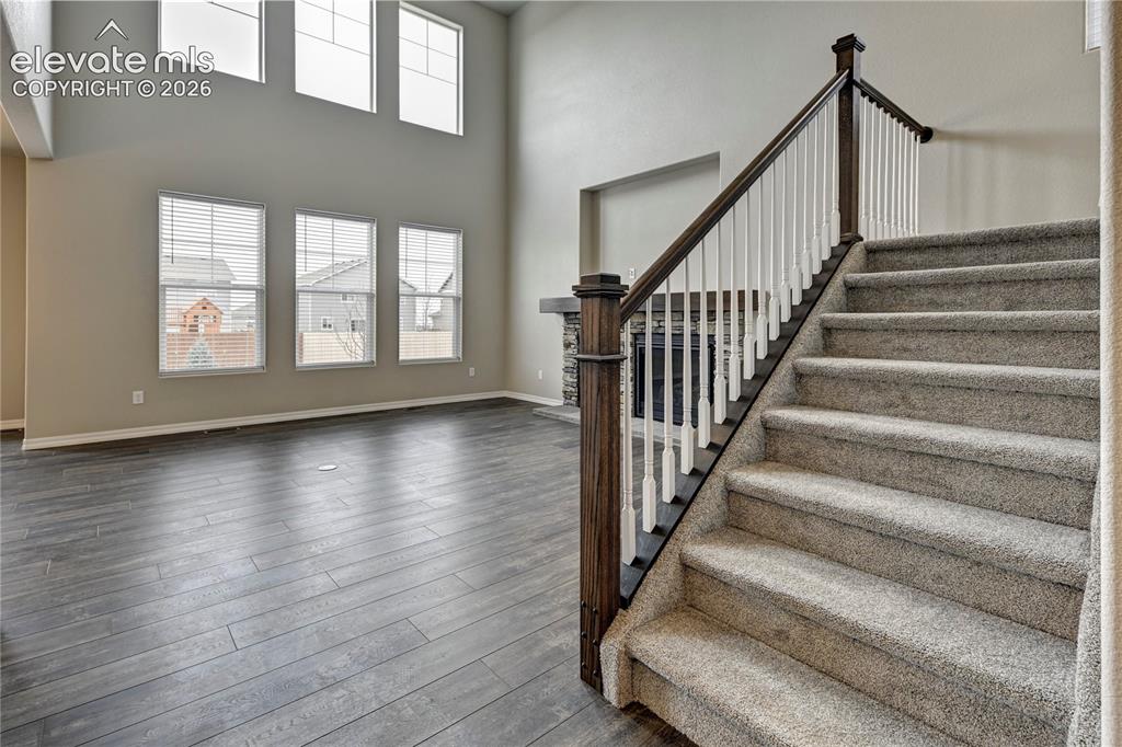 9793 Emerald Vista Drive Peyton CO 80831