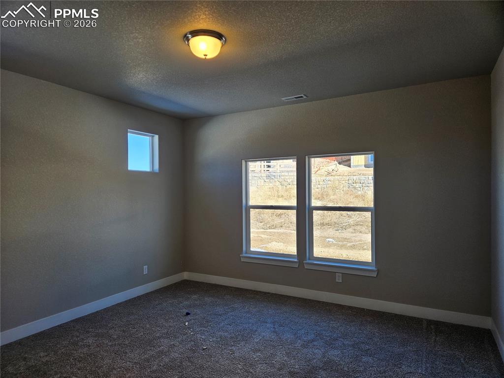 16277 Basset Mill Way Monument CO 80132