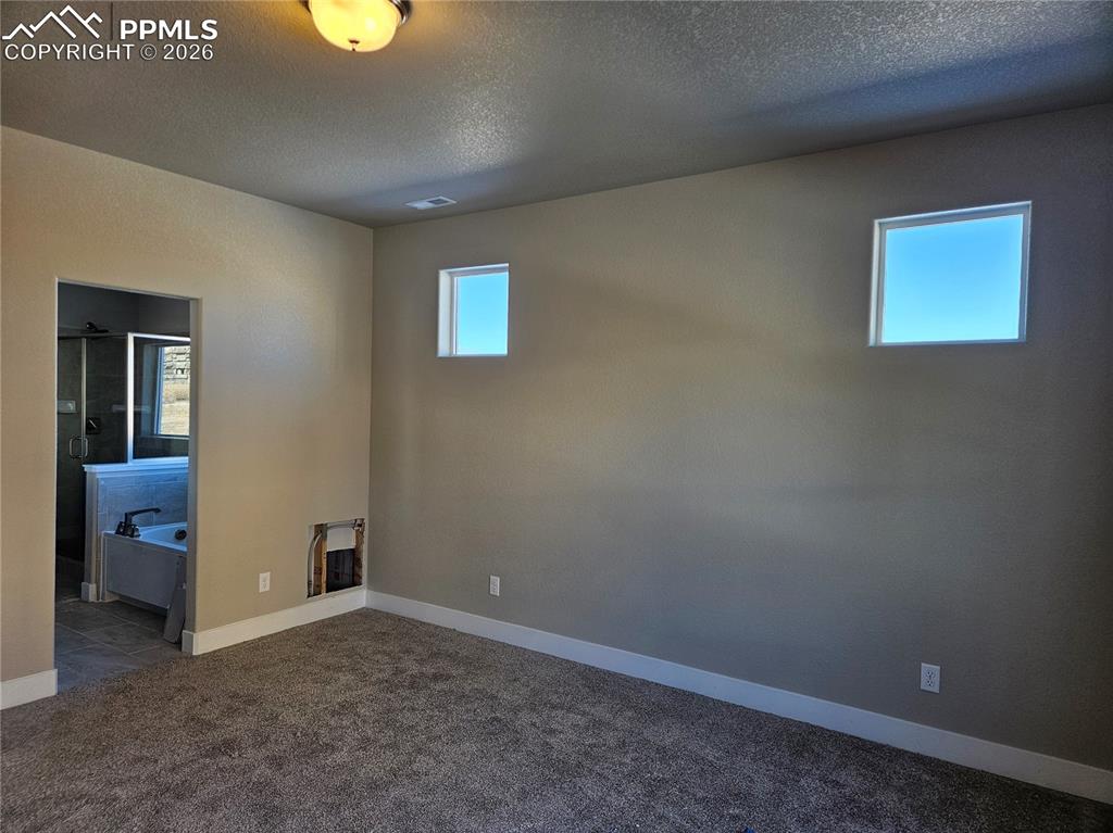 16277 Basset Mill Way Monument CO 80132