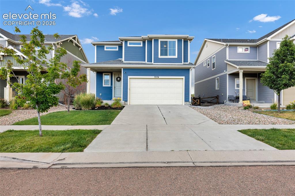 7274 Fauna Glen Drive Colorado Springs CO 80927