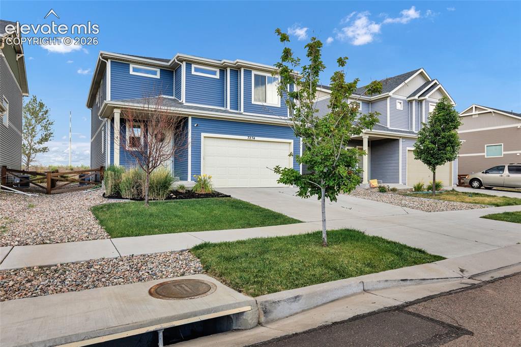 7274 Fauna Glen Drive Colorado Springs CO 80927
