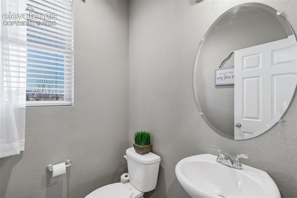 7274 Fauna Glen Drive Colorado Springs CO 80927