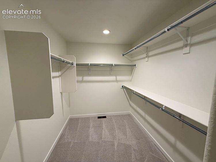 16223 Basset Mill Way Monument CO 80132