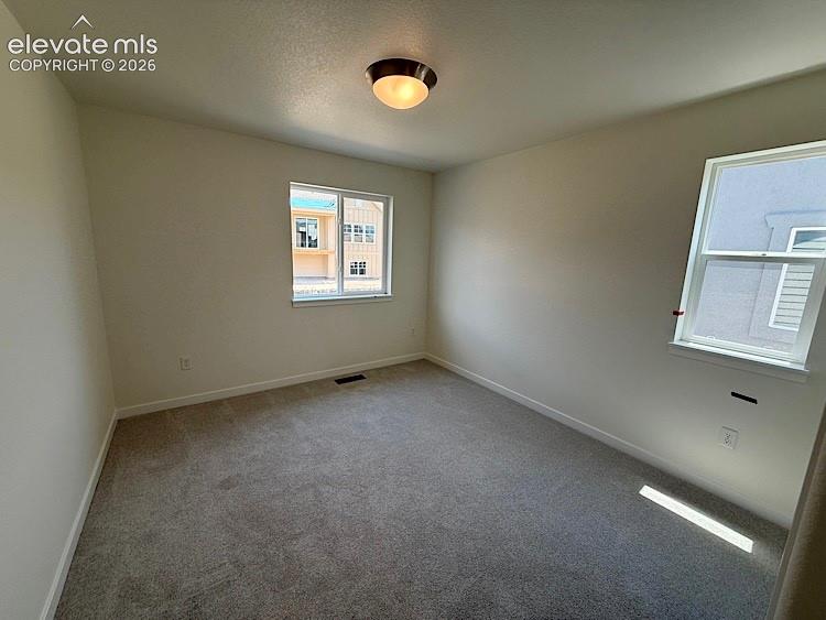 16223 Basset Mill Way Colorado Springs CO 80132