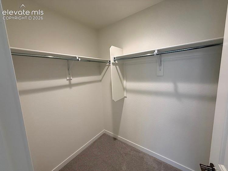 16223 Basset Mill Way Monument CO 80132