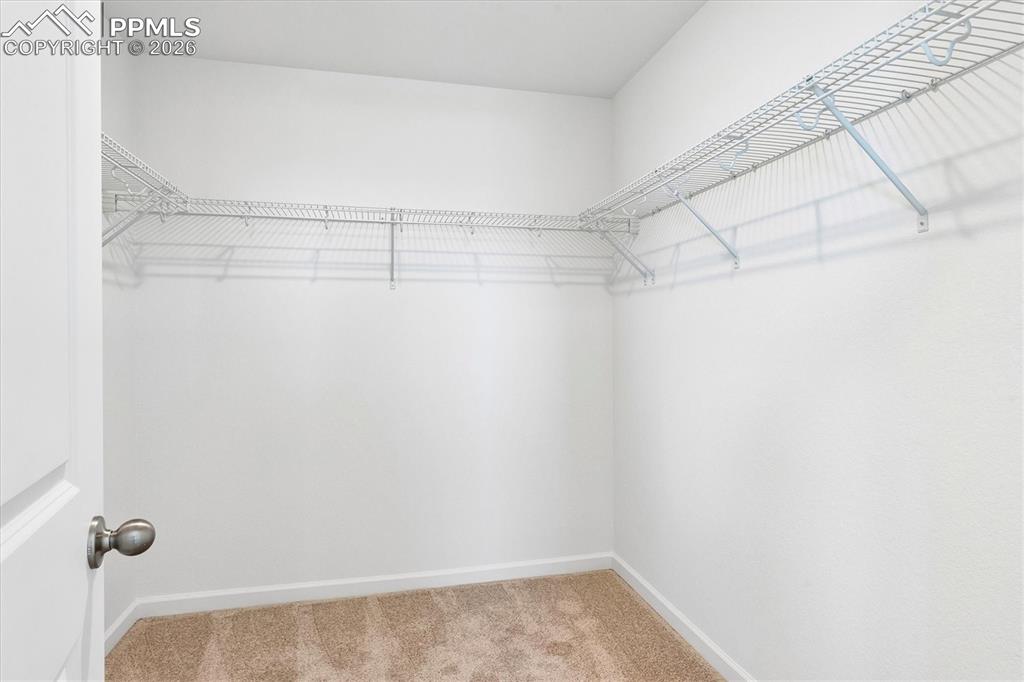 866 Lux Point Colorado Springs CO 80915