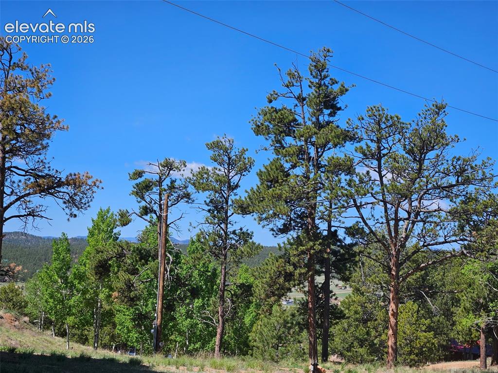 24 Big Horn Circle Florissant CO 80816