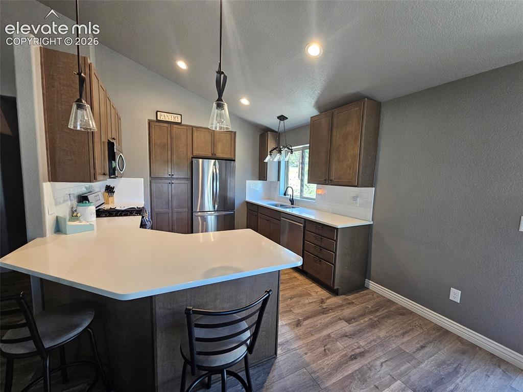 24 Big Horn Circle Florissant CO 80816